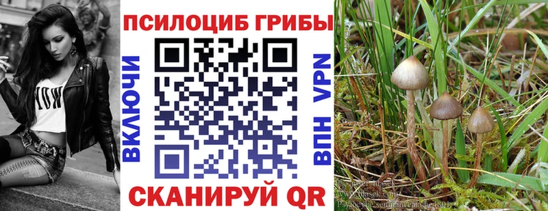 Псилоцибиновые грибы Magic Shrooms  Урень 